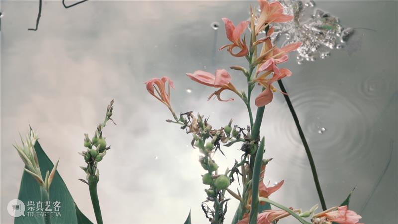 【新世纪】无独有偶艺术家访谈|杨福东、王旭篇 博文精选 新世纪 崇真艺客